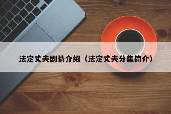 法定丈夫剧情介绍（法定丈夫分集简介）