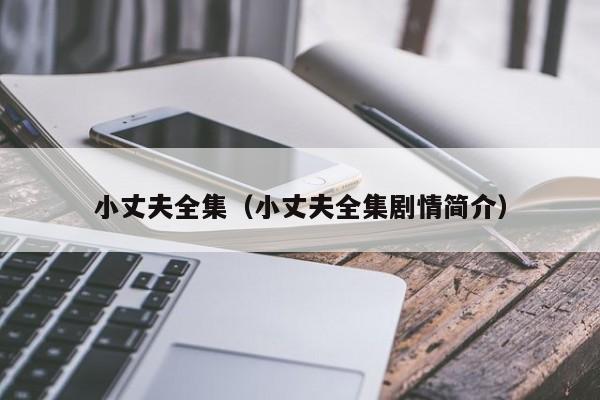 小丈夫全集（小丈夫全集剧情简介）