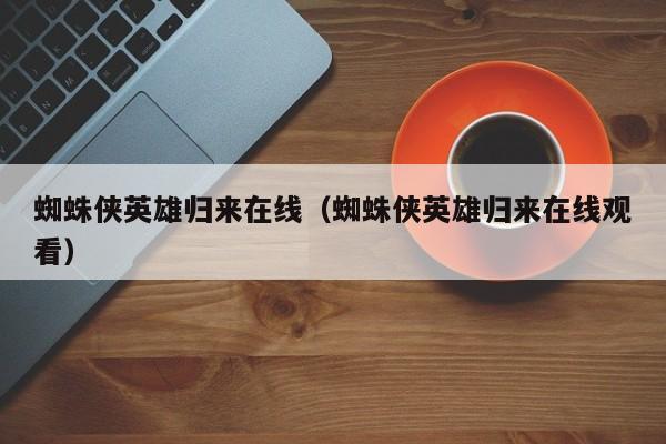 蜘蛛侠英雄归来在线（蜘蛛侠英雄归来在线观看）