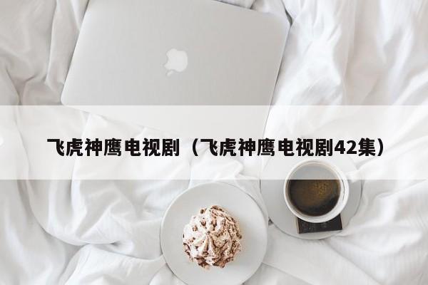 飞虎神鹰电视剧（飞虎神鹰电视剧42集）