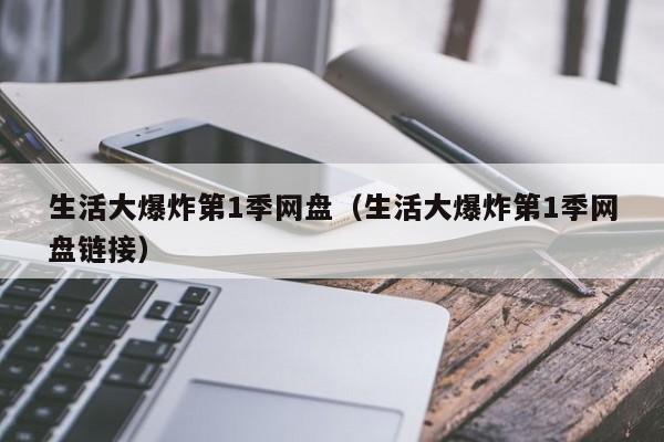 生活大爆炸第1季网盘（生活大爆炸第1季网盘链接）