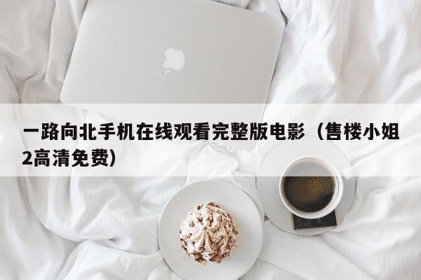 一路向北手机在线观看完整版电影（售楼小姐2高清免费）