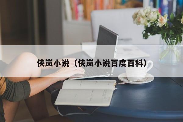 侠岚小说（侠岚小说百度百科）