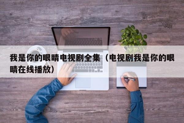 我是你的眼睛电视剧全集（电视剧我是你的眼睛在线播放）