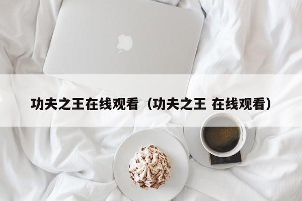 功夫之王在线观看（功夫之王 在线观看）