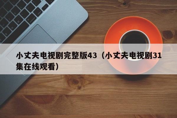 小丈夫电视剧完整版43（小丈夫电视剧31集在线观看）