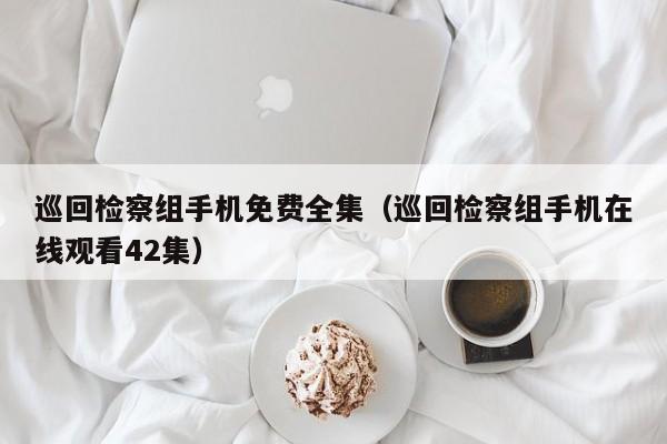 巡回检察组手机免费全集（巡回检察组手机在线观看42集）