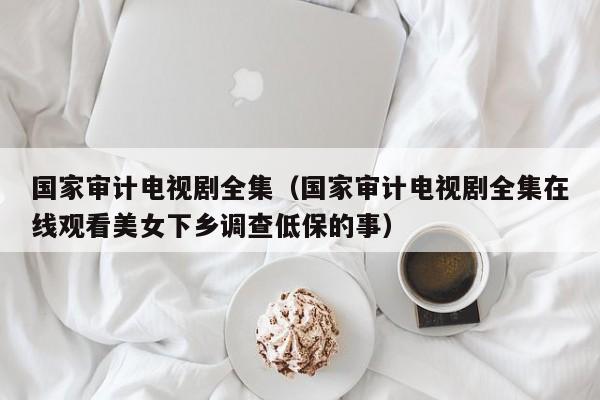 国家审计电视剧全集（国家审计电视剧全集在线观看美女下乡调查低保的事）