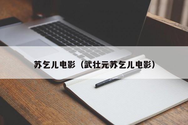 苏乞儿电影（武壮元苏乞儿电影）