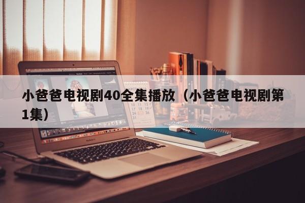 小爸爸电视剧40全集播放（小爸爸电视剧第1集）