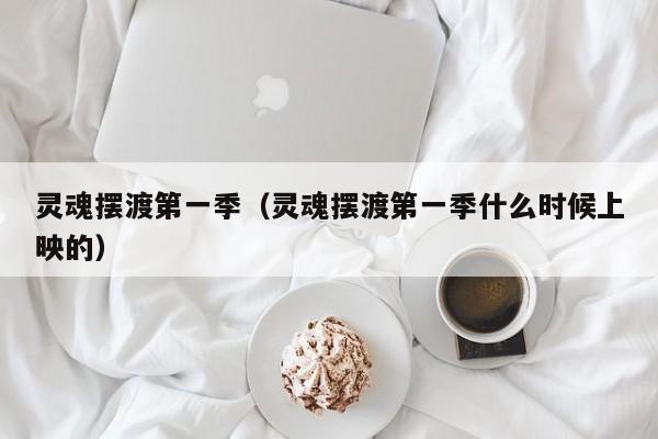 灵魂摆渡第一季（灵魂摆渡第一季什么时候上映的）