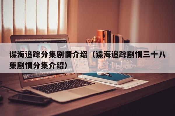 谍海追踪分集剧情介绍（谍海追踪剧情三十八集剧情分集介绍）