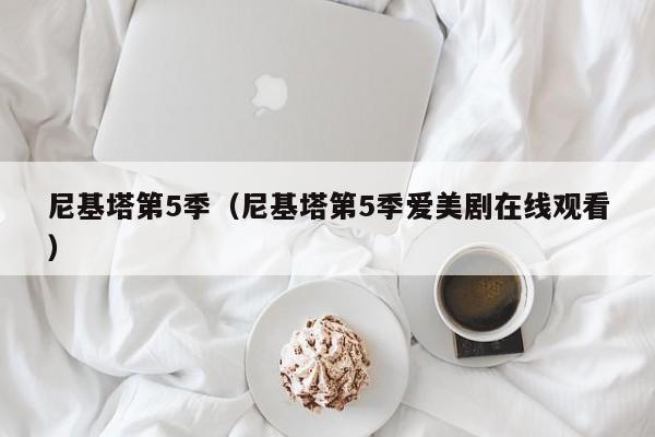 尼基塔第5季（尼基塔第5季爱美剧在线观看）