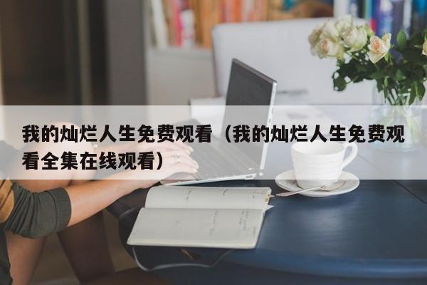 我的灿烂人生免费观看（我的灿烂人生免费观看全集在线观看）