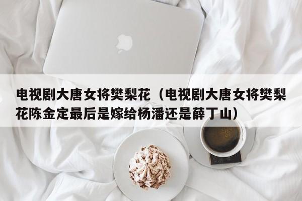 电视剧大唐女将樊梨花（电视剧大唐女将樊梨花陈金定最后是嫁给杨潘还是薛丁山）