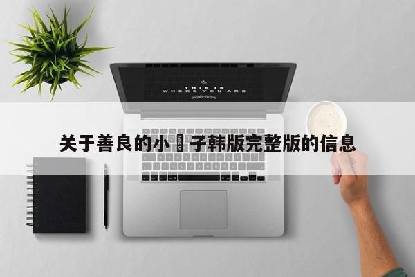 关于善良的小峓子韩版完整版的信息