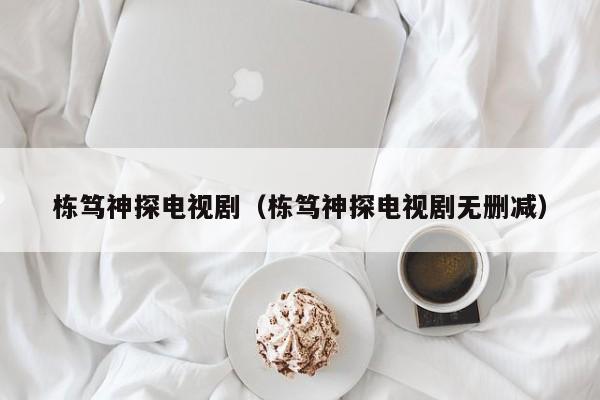 栋笃神探电视剧（栋笃神探电视剧无删减）