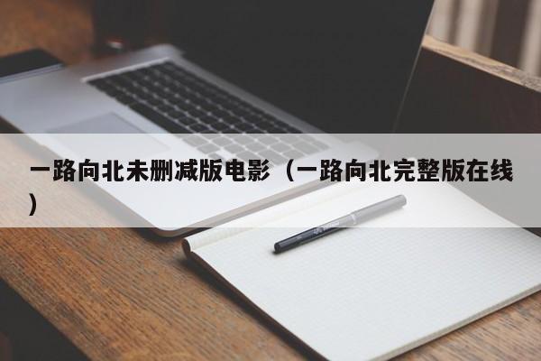 一路向北未删减版电影（一路向北完整版在线）