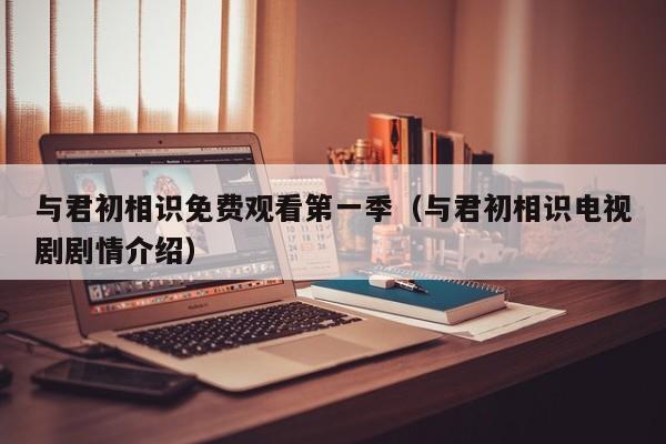 与君初相识免费观看第一季（与君初相识电视剧剧情介绍）