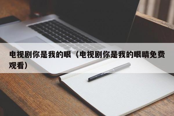 电视剧你是我的眼（电视剧你是我的眼睛免费观看）