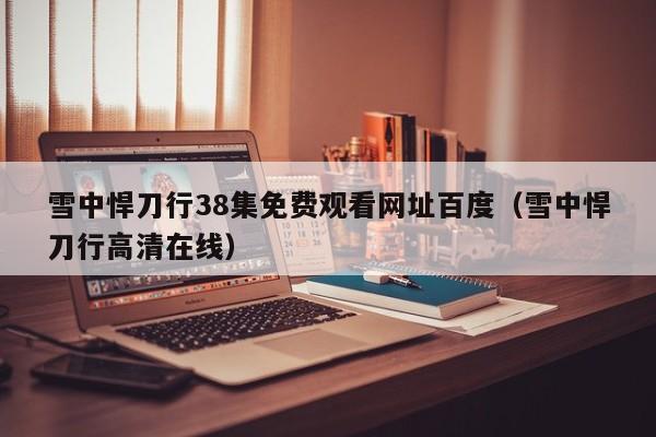 雪中悍刀行38集免费观看网址百度（雪中悍刀行高清在线）