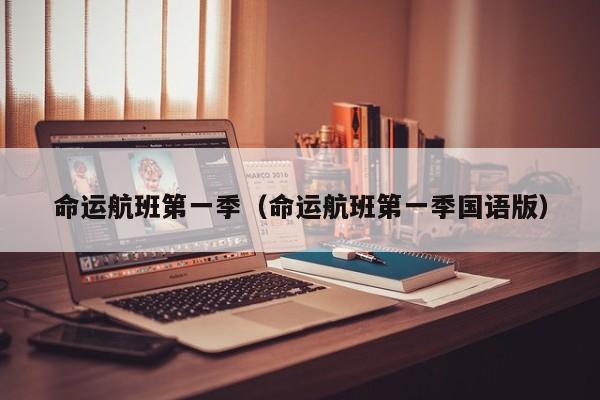 命运航班第一季（命运航班第一季国语版）