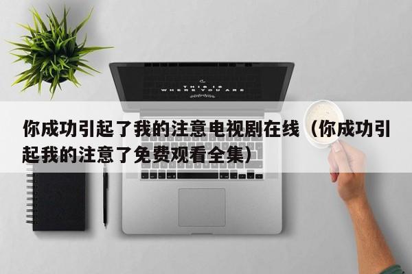 你成功引起了我的注意电视剧在线（你成功引起我的注意了免费观看全集）