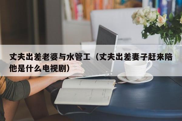 丈夫出差老婆与水管工（丈夫出差妻子赶来陪他是什么电视剧）