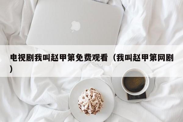 电视剧我叫赵甲第免费观看（我叫赵甲第网剧）