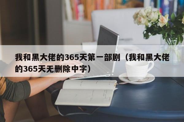 我和黑大佬的365天第一部剧（我和黑大佬的365天无删除中字）