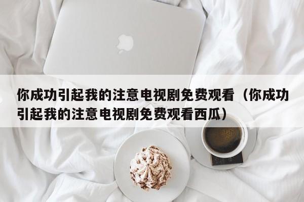 你成功引起我的注意电视剧免费观看（你成功引起我的注意电视剧免费观看西瓜）