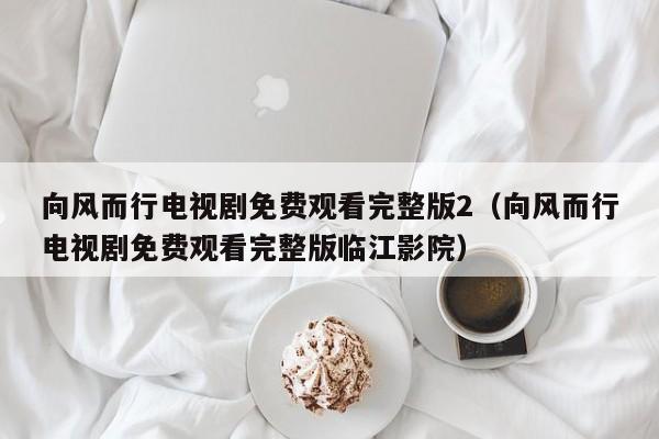 向风而行电视剧免费观看完整版2（向风而行电视剧免费观看完整版临江影院）