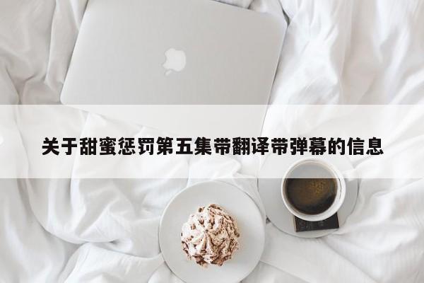 关于甜蜜惩罚第五集带翻译带弹幕的信息