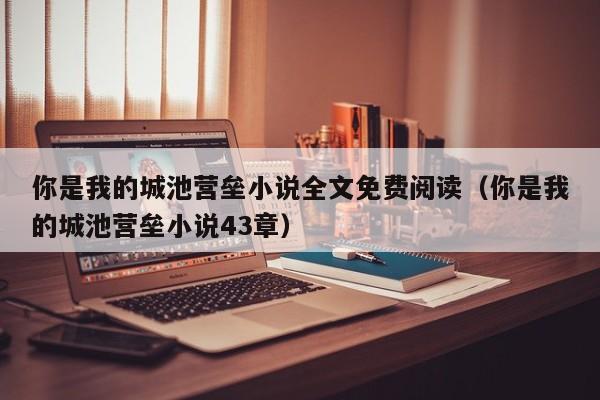 你是我的城池营垒小说全文免费阅读（你是我的城池营垒小说43章）