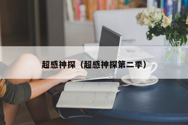 超感神探（超感神探第二季）