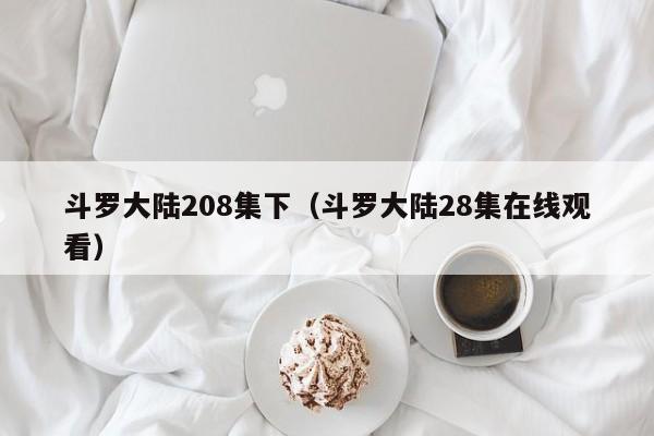 斗罗大陆208集下（斗罗大陆28集在线观看）