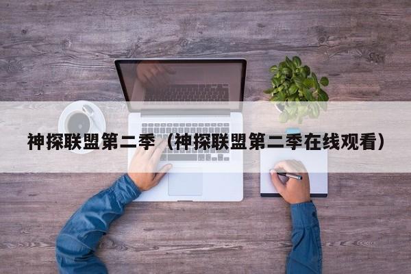 神探联盟第二季（神探联盟第二季在线观看）