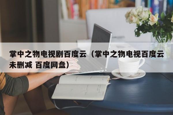 掌中之物电视剧百度云（掌中之物电视百度云未删减 百度网盘）