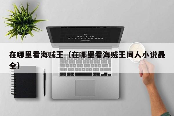 在哪里看海贼王（在哪里看海贼王同人小说最全）