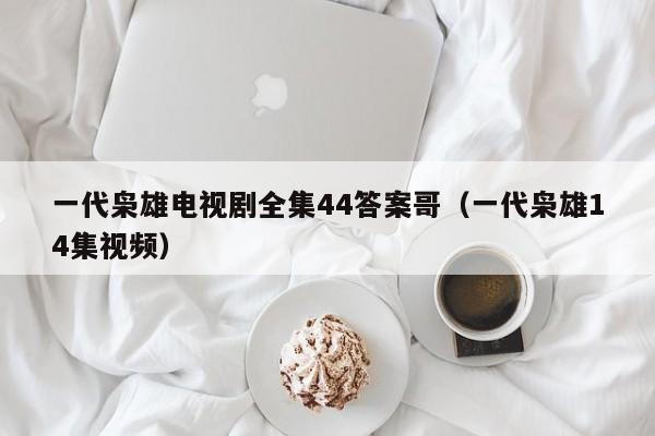 一代枭雄电视剧全集44答案哥（一代枭雄14集视频）