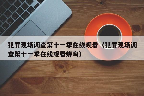 犯罪现场调查第十一季在线观看(犯罪现场调查第十一季在线观看蜂鸟)