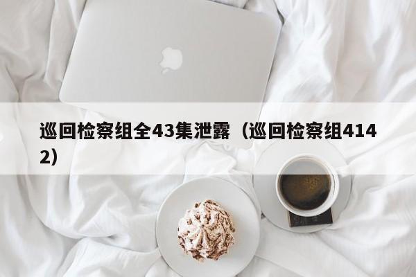 巡回检察组全43集泄露(巡回检察组4142)