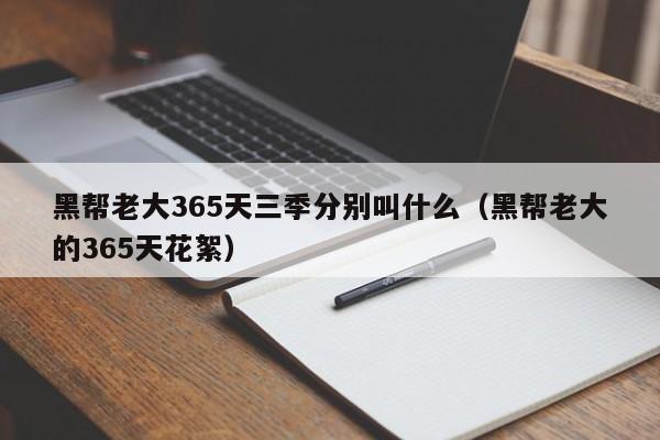 黑帮老大365天三季分别叫什么（黑帮老大的365天花絮）