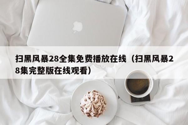 扫黑风暴28全集免费播放在线（扫黑风暴28集完整版在线观看）