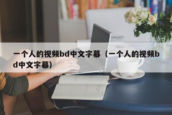 一个人的视频bd中文字幕（一个人的视频bd中文字幕）