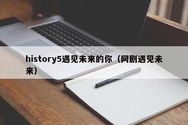 history5遇见未来的你（网剧遇见未来）