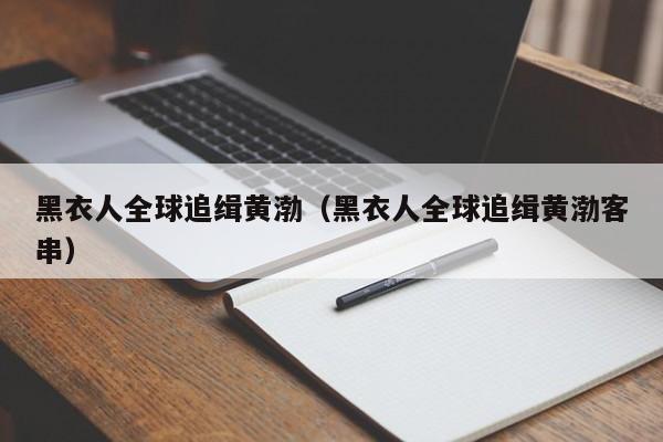 黑衣人全球追缉黄渤（黑衣人全球追缉黄渤客串）