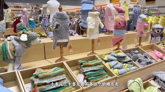 杭州现“12800元宠物婚纱”,店主回应热议:买家定制,买的是情感