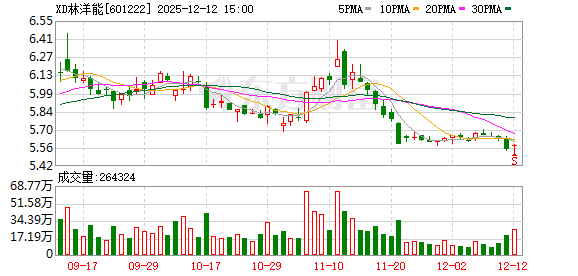 林洋能源：已形成以智能电表、储能系统、新能源技术为主线的专利池与技术储备